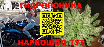 индика Ярцево