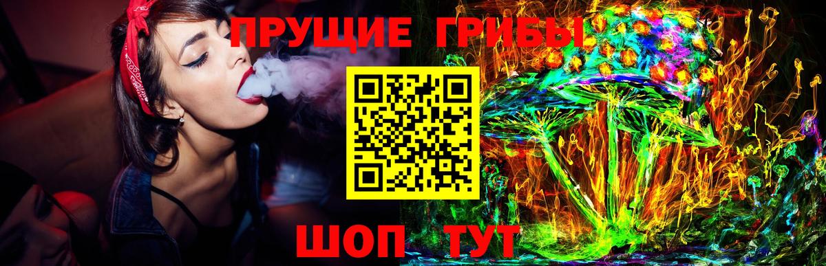 Псилоцибиновые грибы мицелий  закладки  Алатырь  Вход с VPN  Галлюциногенные грибы мухоморы 